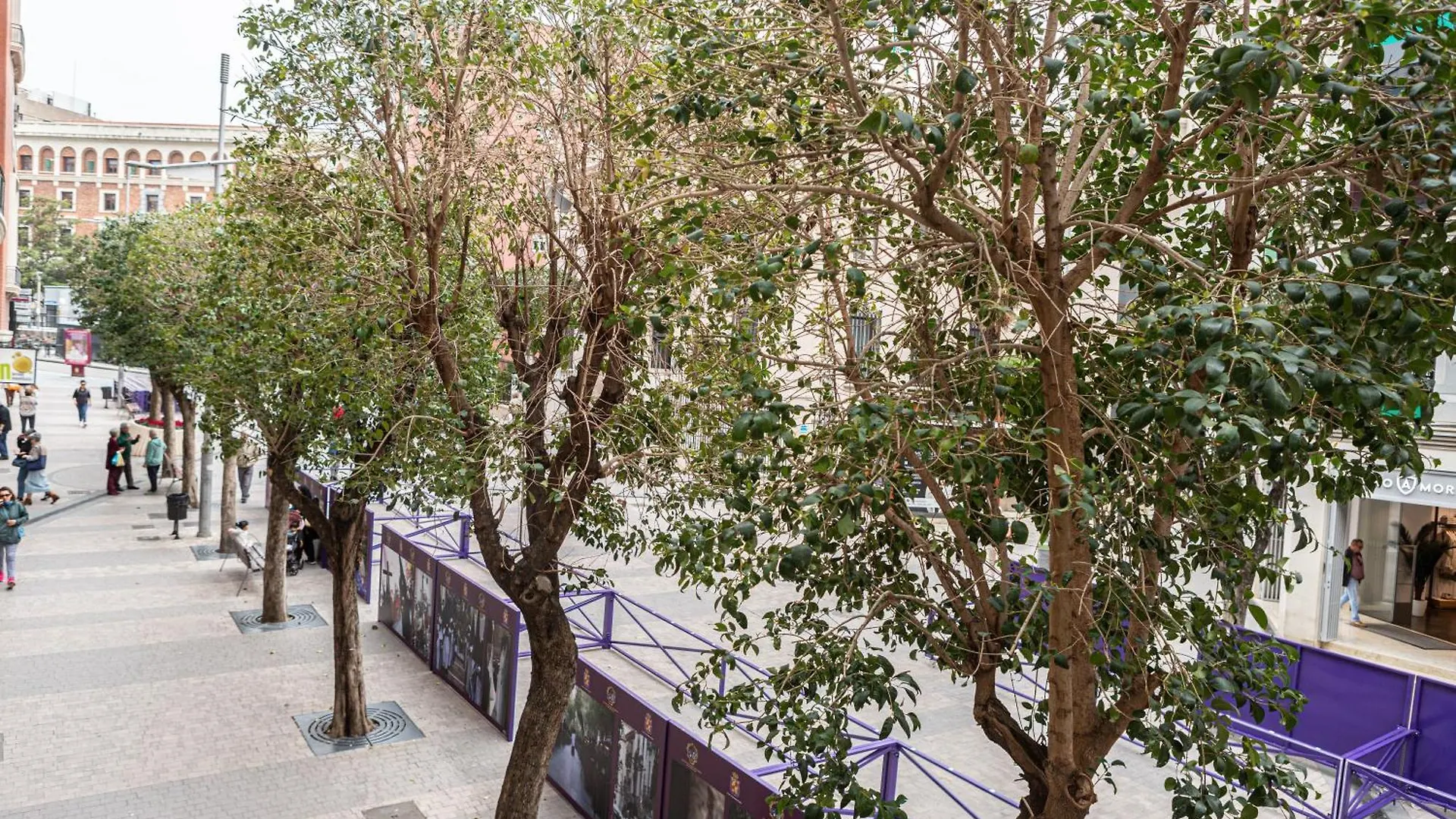 Royar Apartamentos Jaén 0*,